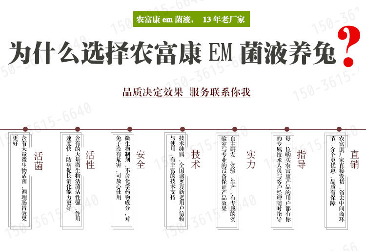 兔子吃了霉变的饲料怎么办