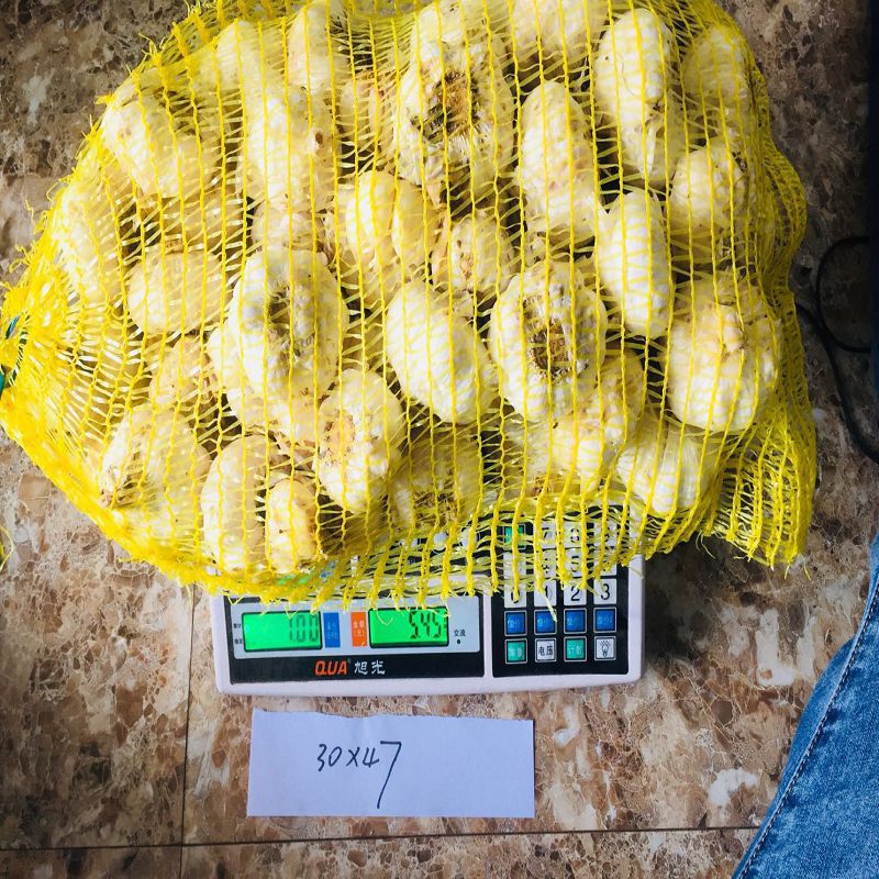 Processing custom-made various specifications of plastic mesh bag new material mango packaging mesh bag potato woven mesh bag