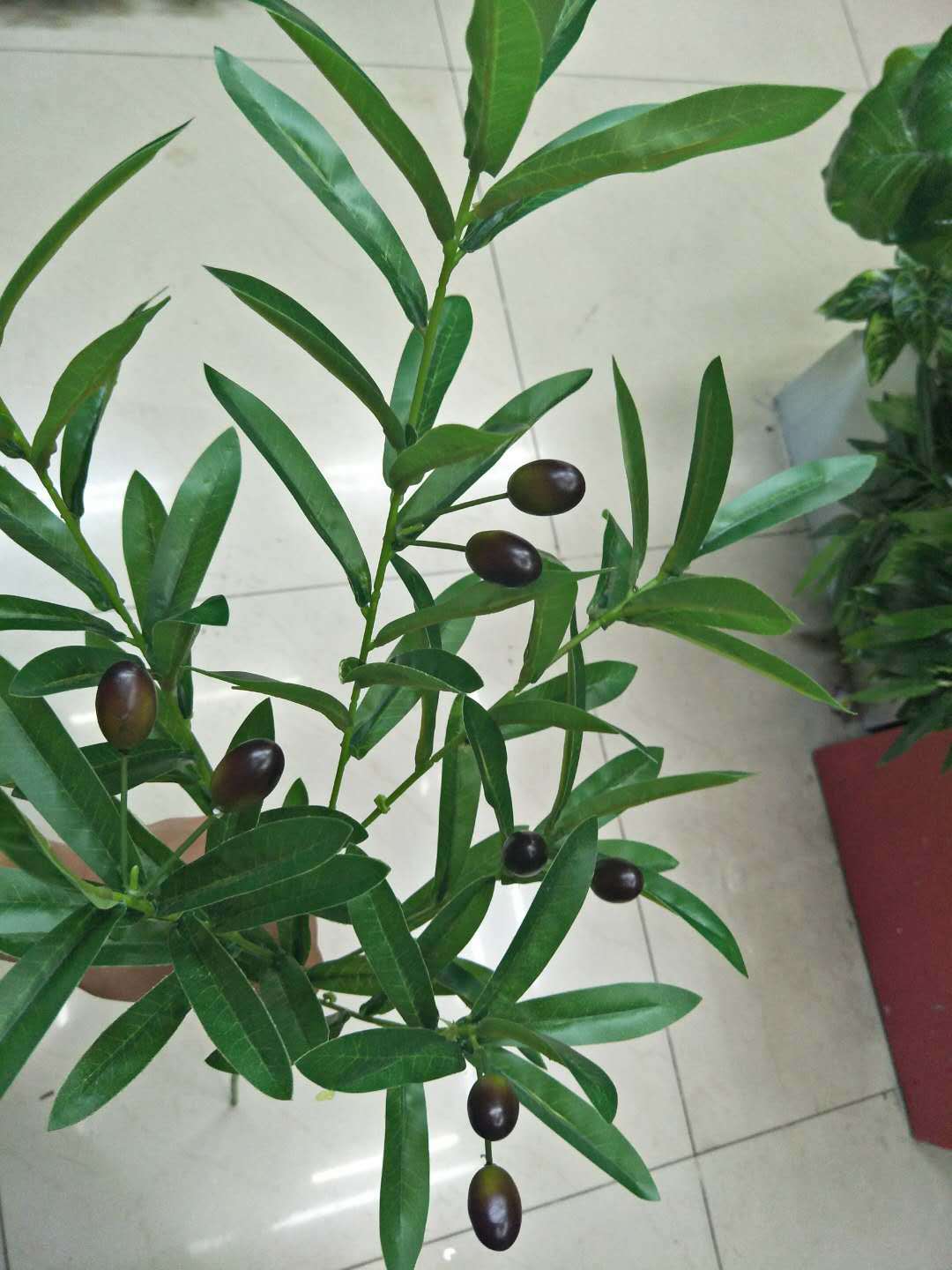 微信图片_20180416144521