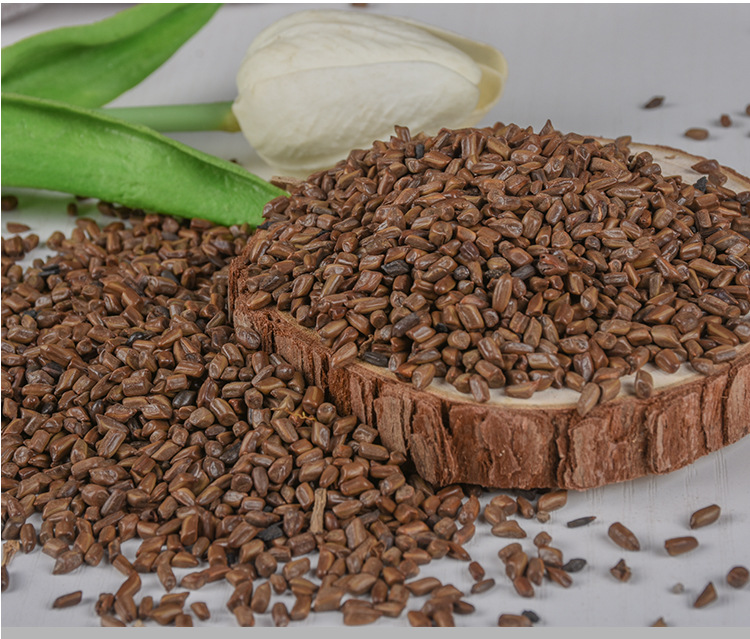 Jue Ming Zi (Cassia obtusifolia) — Dried Food-Herb Seed for Tea & Soup, 500g quality and texture