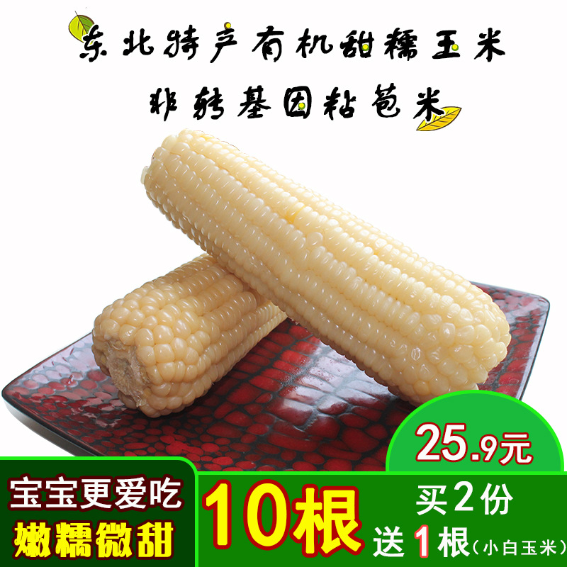 东北糯玉米棒有机玉米白10根5斤粘玉米熟真空装包邮厂家批发代发