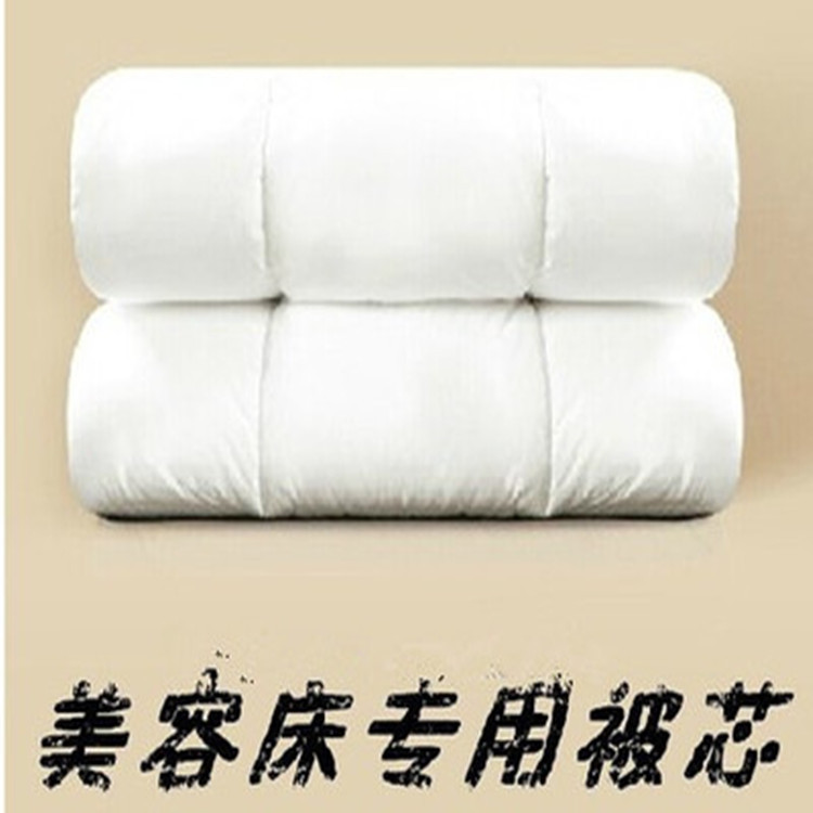 特价美容被芯美体按摩院熏蒸被子儿童小被芯沙发被包邮|ru