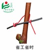 Wenwu grape Ligation Tie line Fruit tree Branch South Botany Bandage Crop Tie line