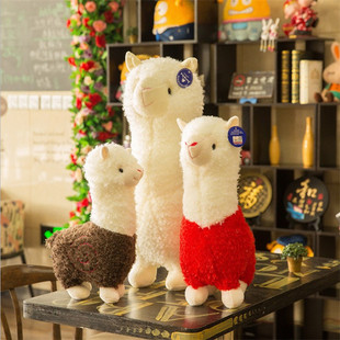 �S�����l���l�ɐ���F�����Rë�q��߹��� ���ë�q��߶Y��