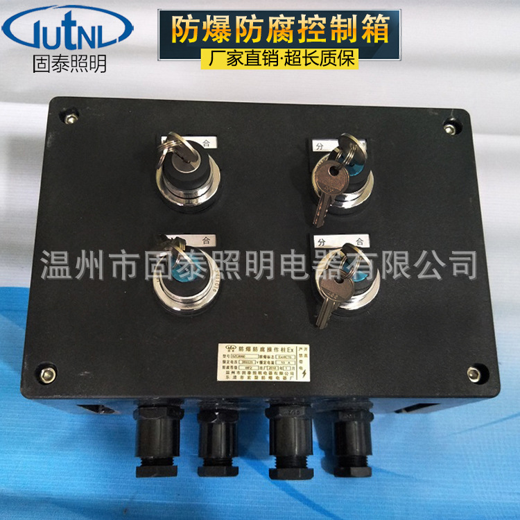固泰供应BXK8050系列防爆防腐控制箱（IIC) 带锁按钮 照明配电箱