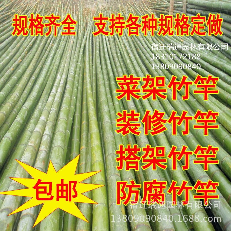 厂家批发大小竹杆装饰装修黄竹碳化竹竿白竹毛竹防虫防霉防腐竹子|ru