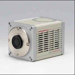 滨松Hamamatsu       C11440-42U      数字SCMOS相机