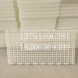 塑料鸭粪漏板100cm*50cm鸡鸭鹅禽用漏粪地板图片鸭粪板厂家批发