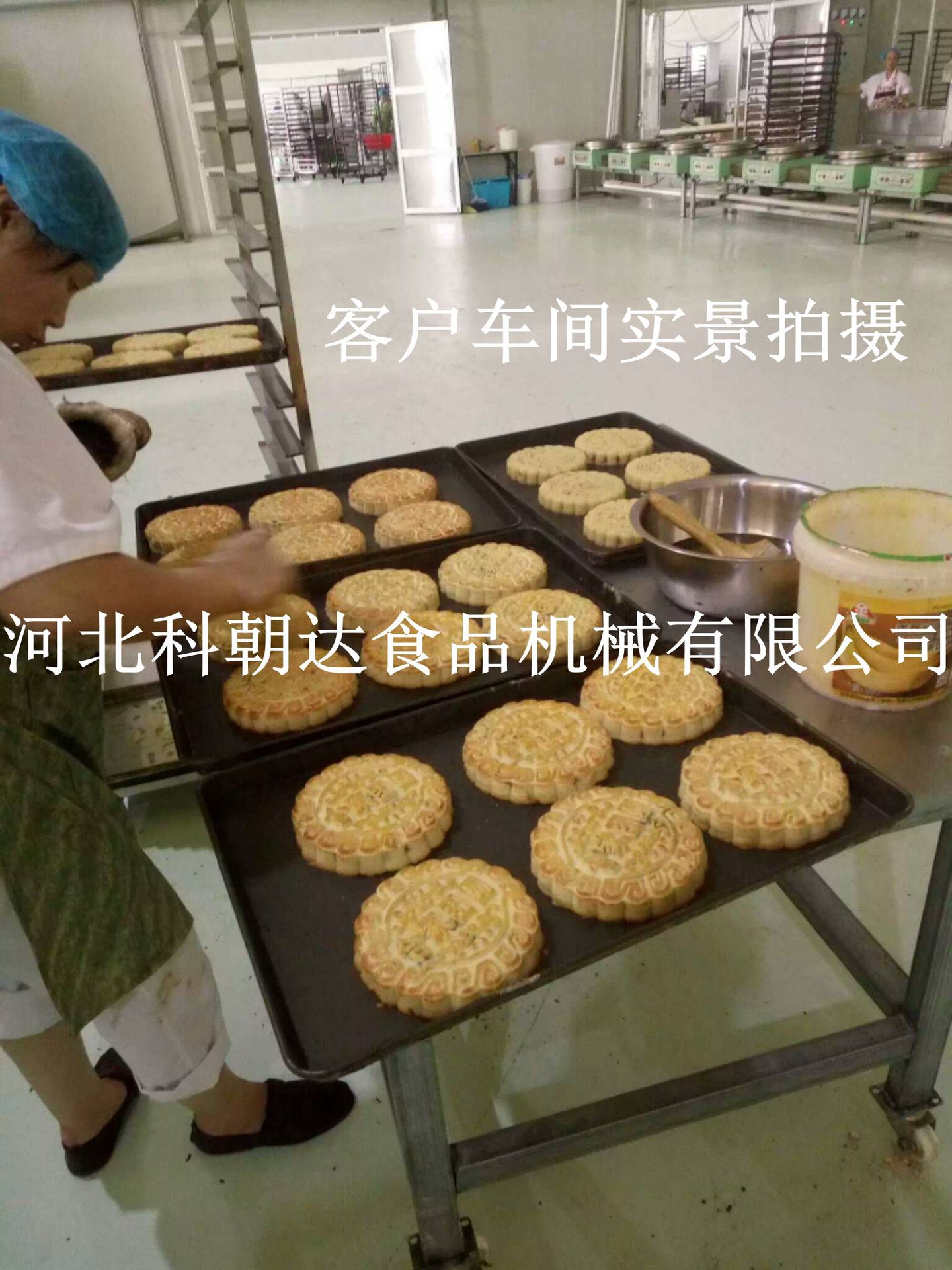 4FF16C1F22E084B01CC731BEA93EF3