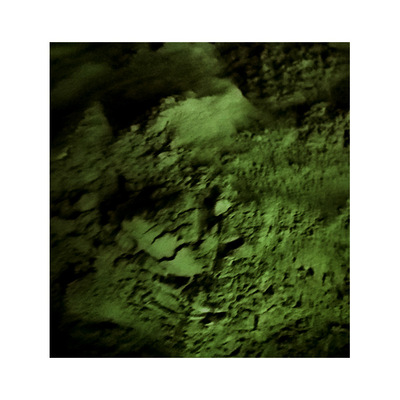 大量批发天健生物/蛋白核绿藻片/纯度小球藻粉 0.25g小球藻片|ru