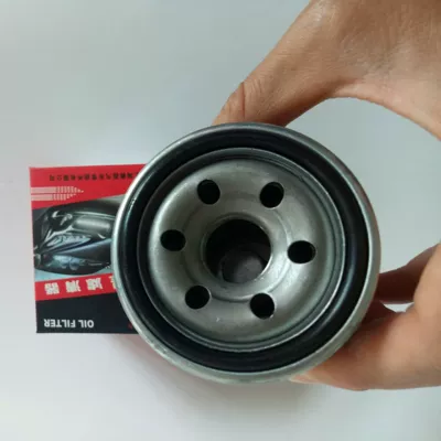 Lingshuai Delica Fulica Lingyue Hafei H230 üçün yağ filtri