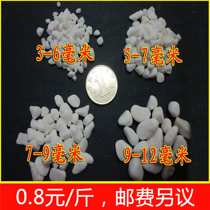 gardening Whitehead son Potted plant Paving Stone Hydroponics flowers and plants fish tank decorate natural white Pebble