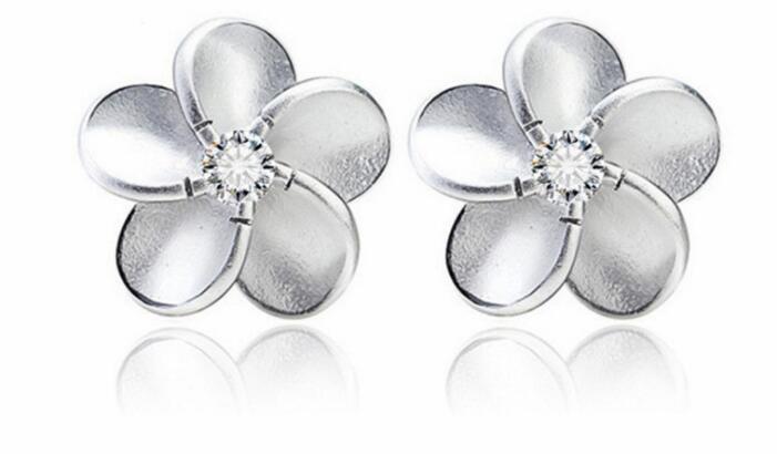 Boucles d oreilles en argent - Ref 3446849 Image 29