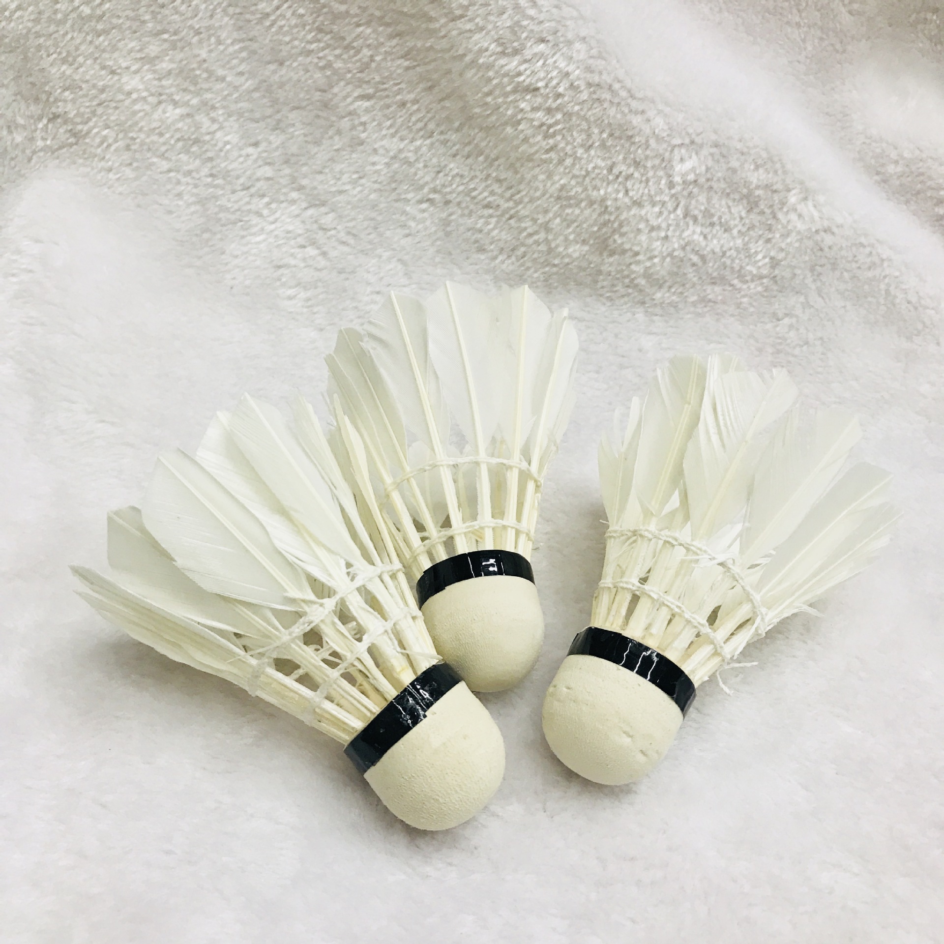 IMG_3110(20180305-111635)