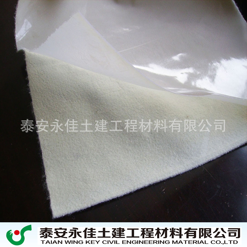 厂家直销 土工膜 一布一膜 两布一膜 复合土工膜 防水土工膜