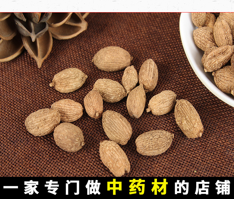 Sha Ren (Amomum villosum) — Premium Dried Food-Herb Fruit for Cooking & Tea key features
