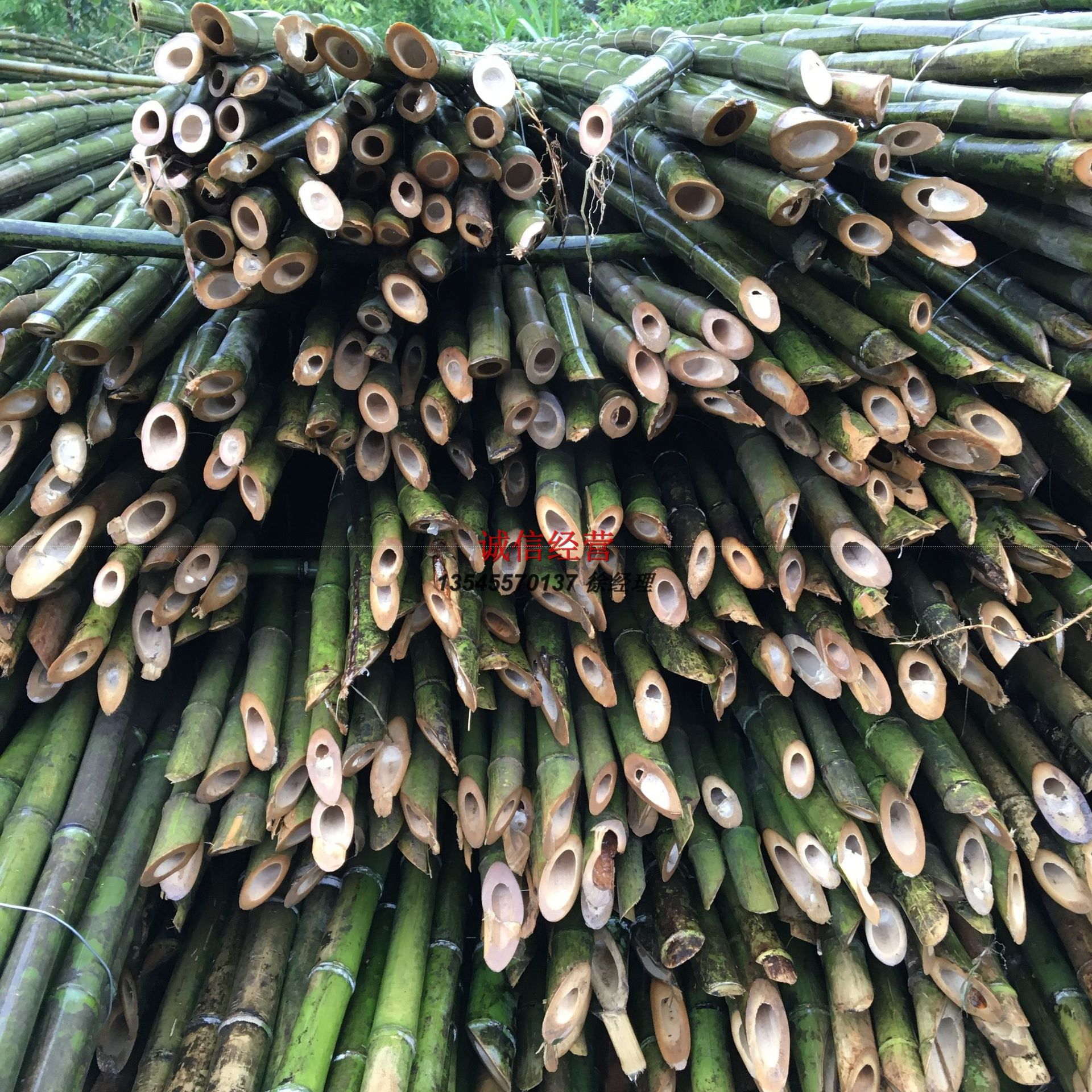 厂家供应 菜架竹 药架竿 麻竹 小山竹 搭菜 搭篱笆架专用-阿里巴巴