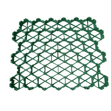 ֲ�ݸ����l ����ͣ܇ֲ�ݰ� ͣ܇λֲ�ݰ� �ߏ���ֲ�ݸ�