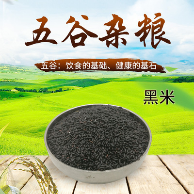 批發黑米長江米營養粥  五谷雜糧粗糧黑香米散裝雜糧黑大米