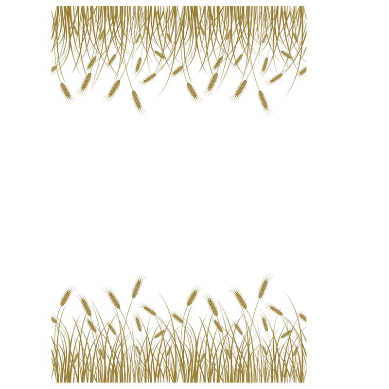 4441395409_8324091_°Æ¥»