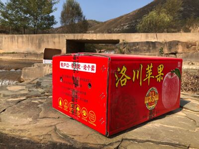 农户现摘现发正宗洛川苹果70#小果净重12斤全国包邮支持一件代发