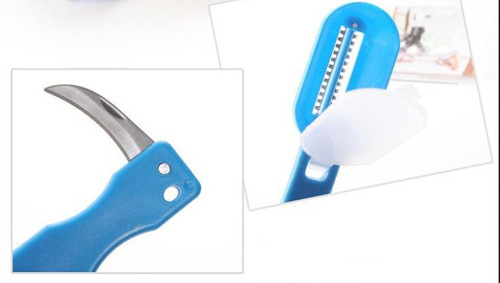Stainless steel fish scale planer with cover fish scale scraper, fish killer, planer knife to remove fish scales, fish killer planer, fish scale brush