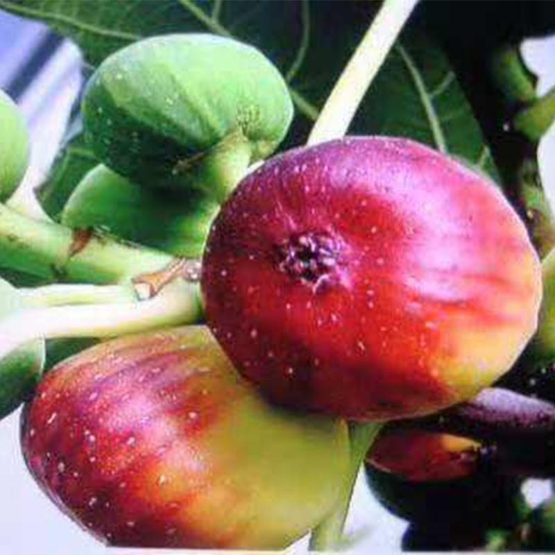 a5ccb69310938321330e96ee4b6916