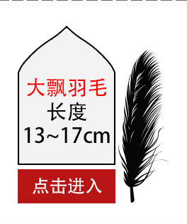 大飘羽毛详情_09