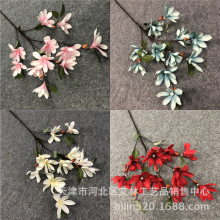 �S�ҟ��N11�^С���m�h�����m��c�鼆�zӰ�����������廨�OӋ�[��