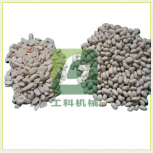 ���� ��������ÓƤ�C���ⶹ����ÓƤ����C���s�Z���ȥƤ�C