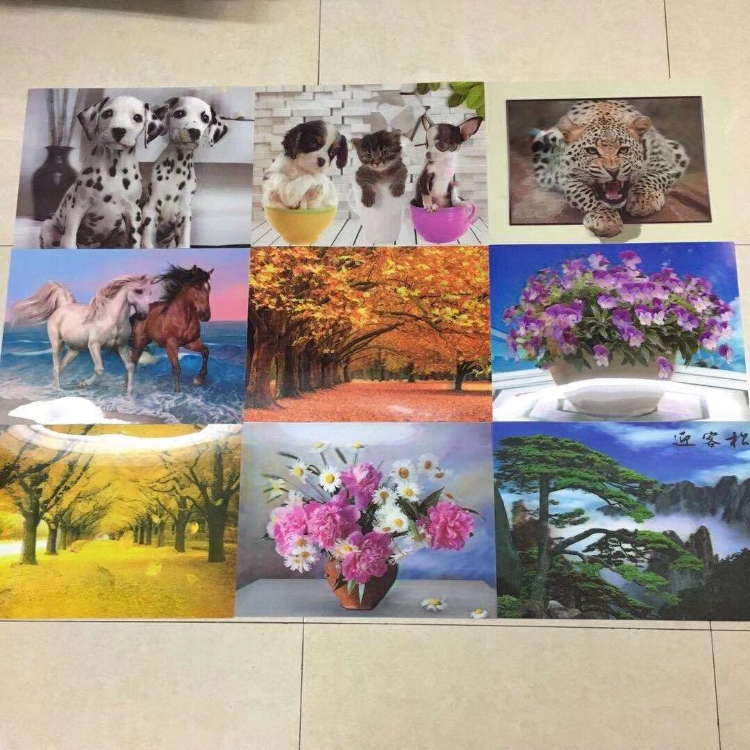 QQ图片20181111155515