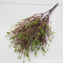 雲龍柳 雲龍柳批發 促銷價格 產地貨源 阿里巴巴