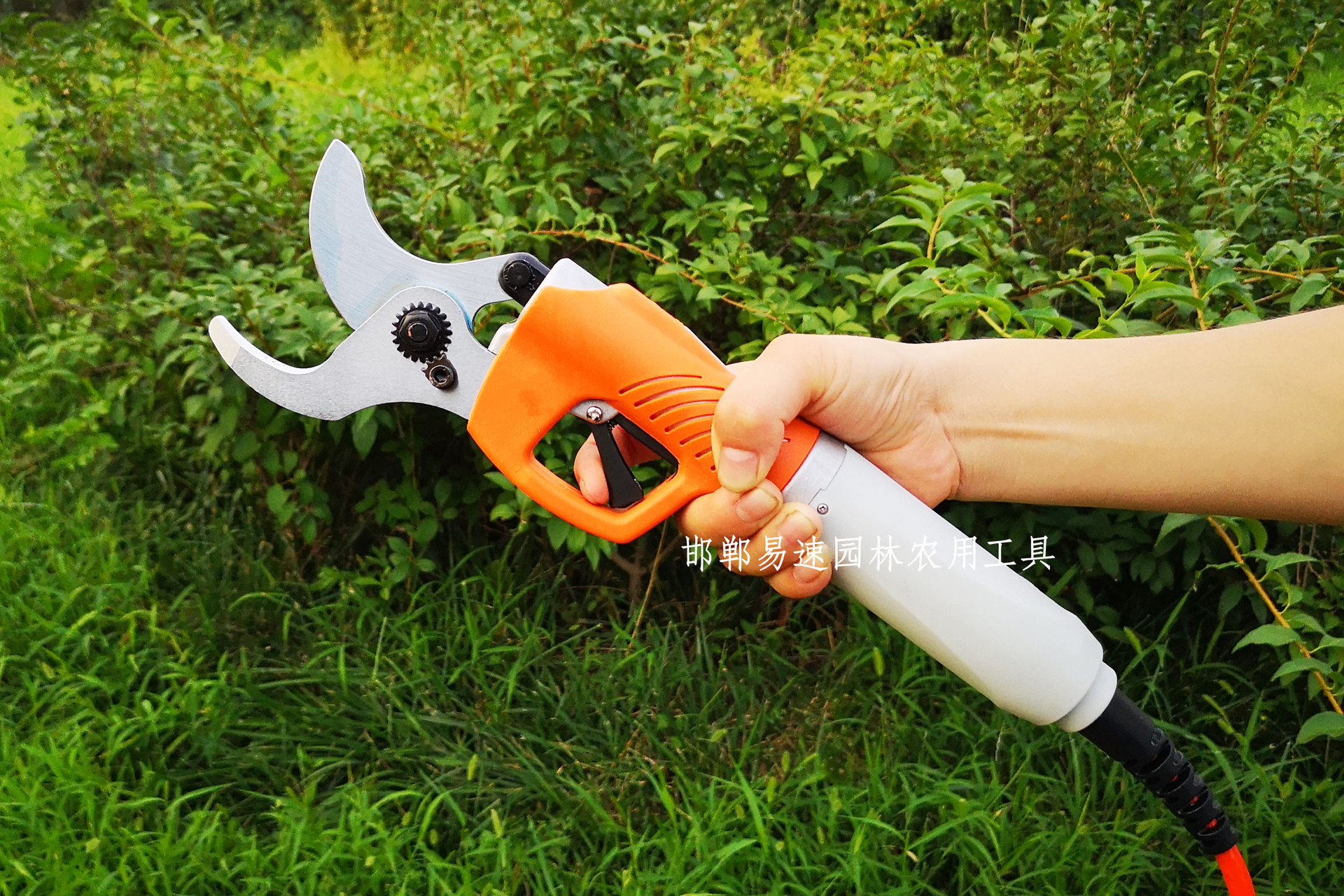 果树修枝电剪刀充电式电动修枝剪苗木修枝剪粗枝剪电动高枝剪包邮-阿里巴巴