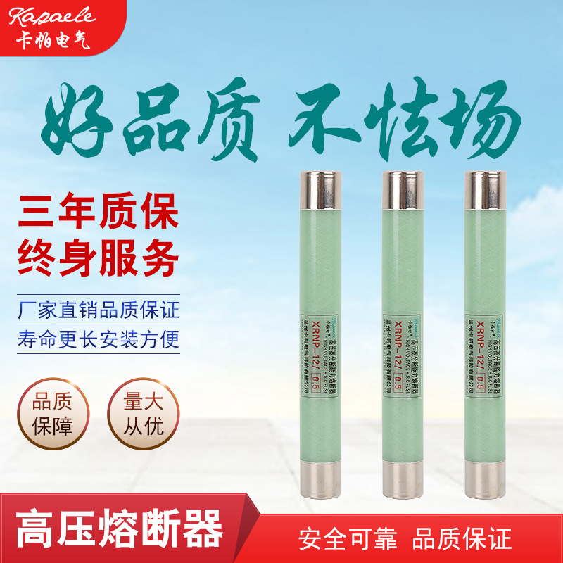 户内高压限流熔断器 变压器保护用高压XRNP1-12/0.5限流熔断器|ms