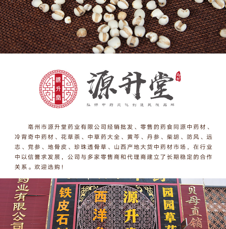 Yi Yi Ren (Coix Seed / Job's Tears) — Dried Food-Herb Grain for Tea, Soup & Congee quality and texture