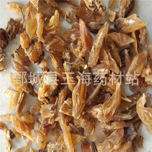 �춬 ��ș�����l���Nș��