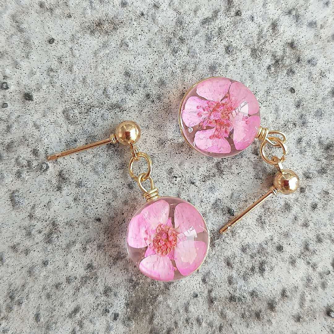 微信图片_20180511231204