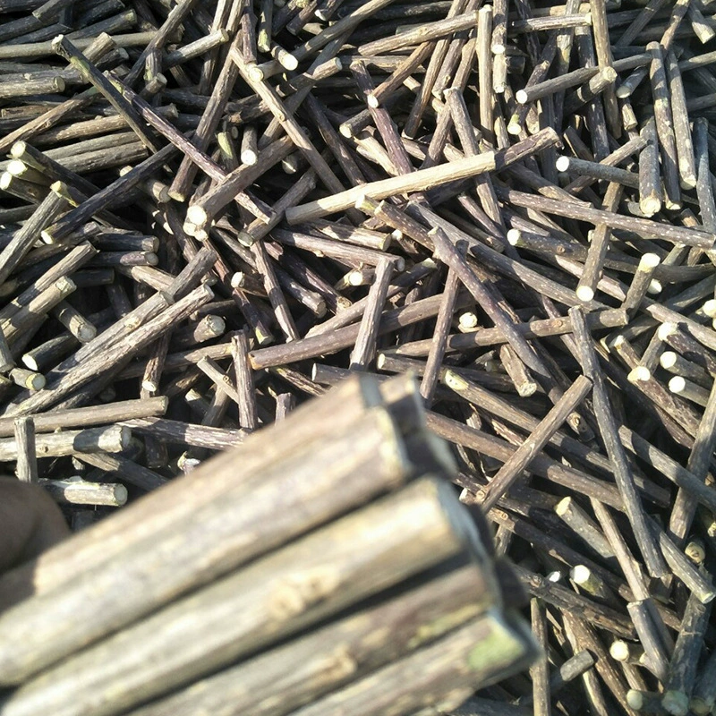 Происхождение оптом Polygonum sativum палочка шлифовальная палочка для кошек закуски игрушки для кошек кошачья палочка 0,5-1,5 см Прямая