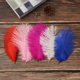 羽毛、羽绒;猫猫玩具;其他工艺品