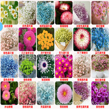 MǷNMrշN ļN׻̨҃ѾbN