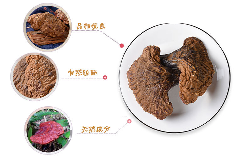 Reishi Mushroom Slices (Ganoderma lucidum) — Dried Chi Zhi from Changbai Mountain, Jilin key features