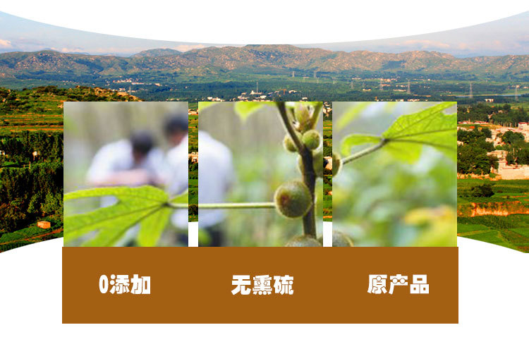Wu Zhi Mao Tao (Radix Fici Simplicissimae) — Dried Food-Herb Root, Sulfur-Free, 500g quality and texture