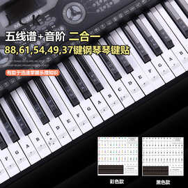 88/61/54/49键钢琴透明贴纸电子琴键盘手卷钢琴键贴简谱音阶贴纸