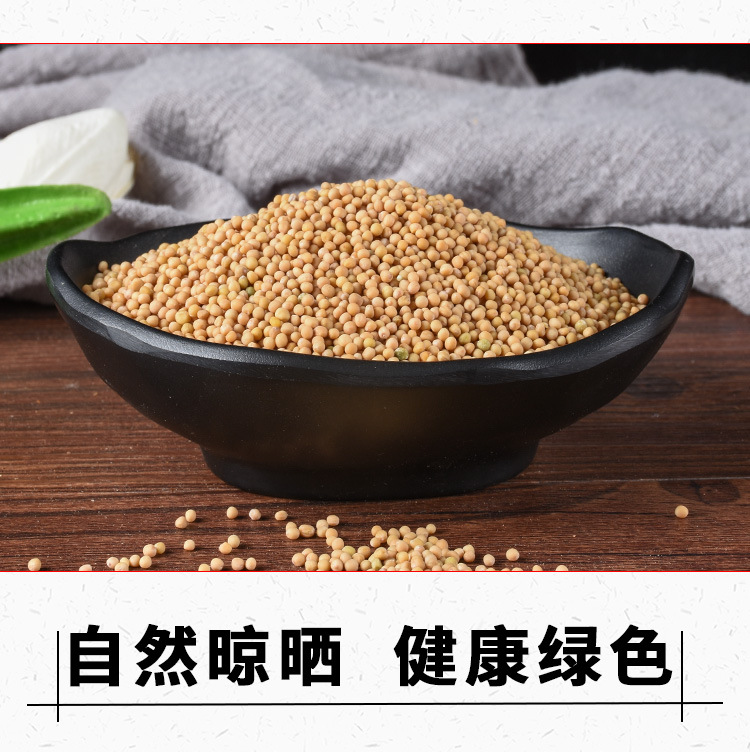 Bai Jie Zi (Sinapis alba) — White Mustard Seed, Dried Food-Herb for Poultices & Warming Compresses key features