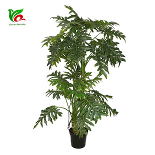 2.2�׷���Gֲ���|ݸ�S��ֱ�N���|��������������ϲ���� ���~