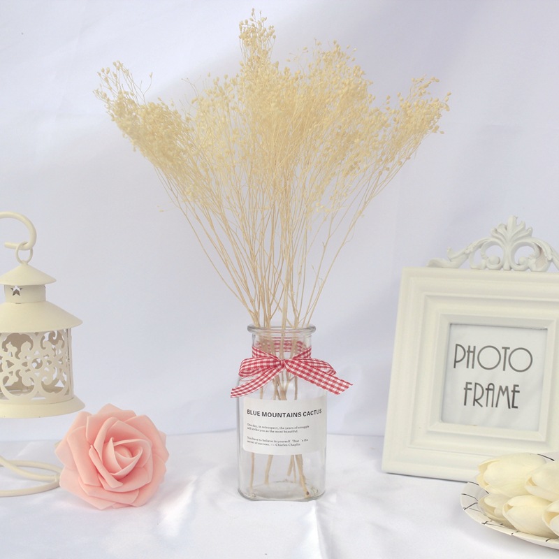 Accessoires photo style nordique : bouquet de fleurs séchées, fond mural, décoration intérieure, poses._voghion.com