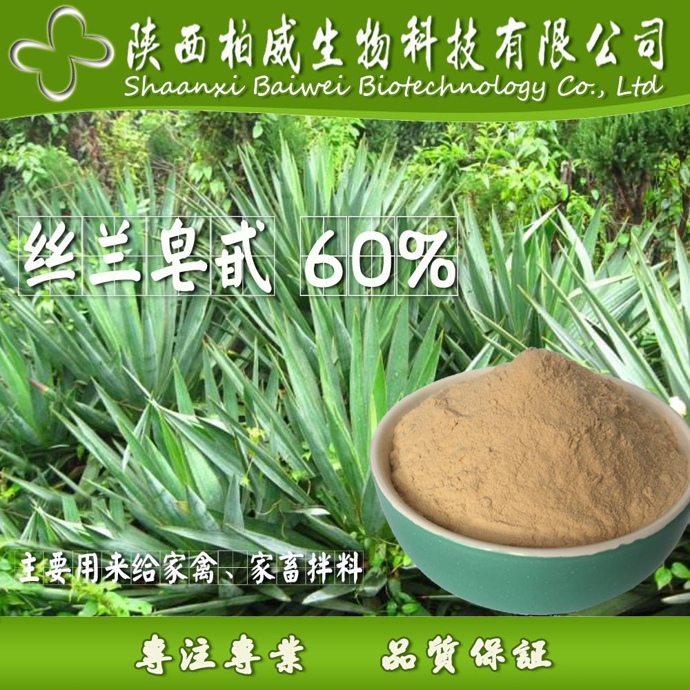 丝兰提取物 丝兰皂甙 60% 可定制 欢迎咨询 量大优惠 工厂价格|ms