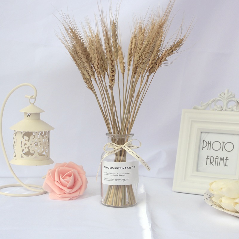 Accessoires photo style nordique : bouquet de fleurs séchées, fond mural, décoration intérieure, poses._voghion.com