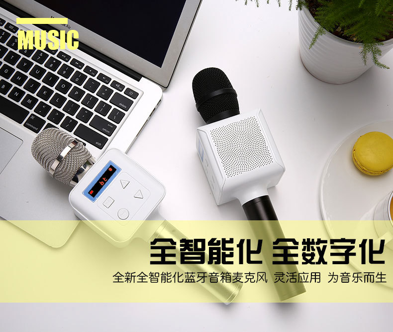 雅韵乐 HIFI级K歌神器 无线蓝牙音响麦克风 通适安卓ios手机电脑