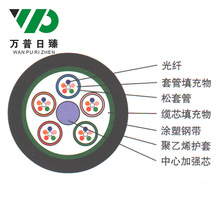 ������|GYTS-48о���׌ӽgʽ��ģ�ܿ�ͨ�Ź��|48о������|�S��